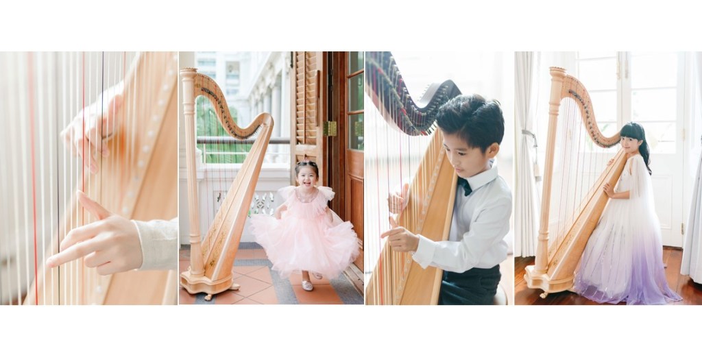 Harp Academy of&nbsp;Music